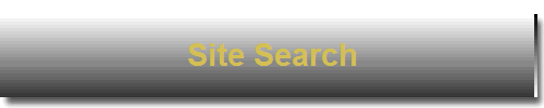 Site Search
